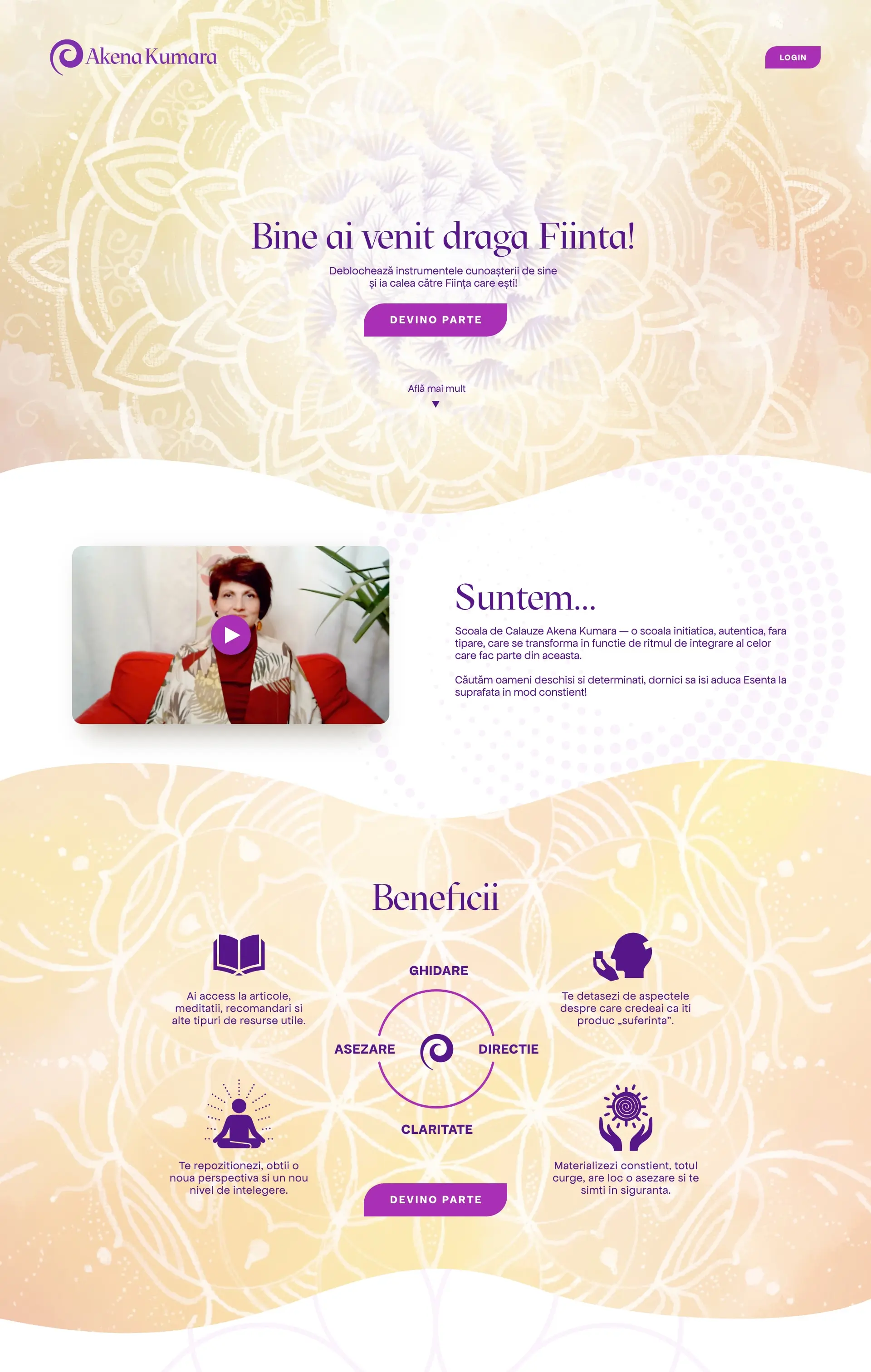Website Design