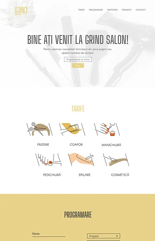 Website Design