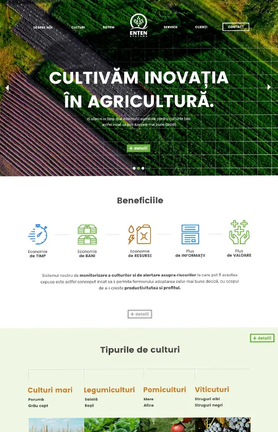 Website Design