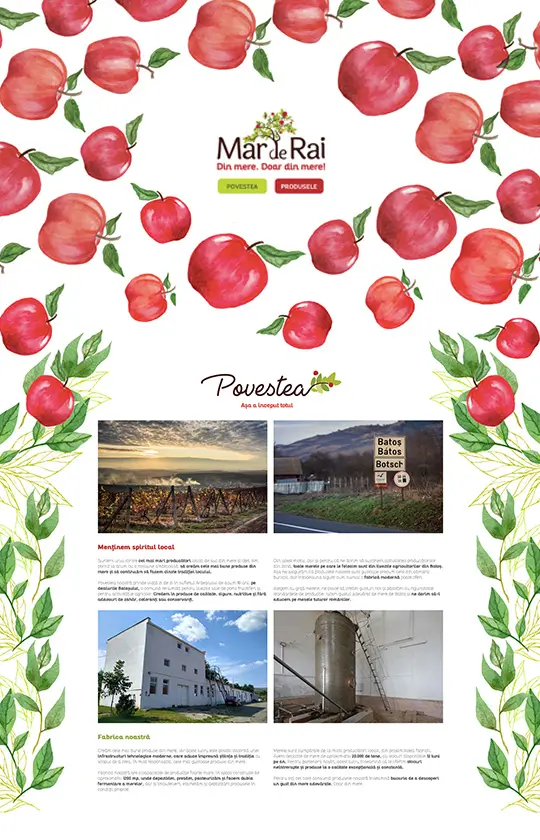 Website Design