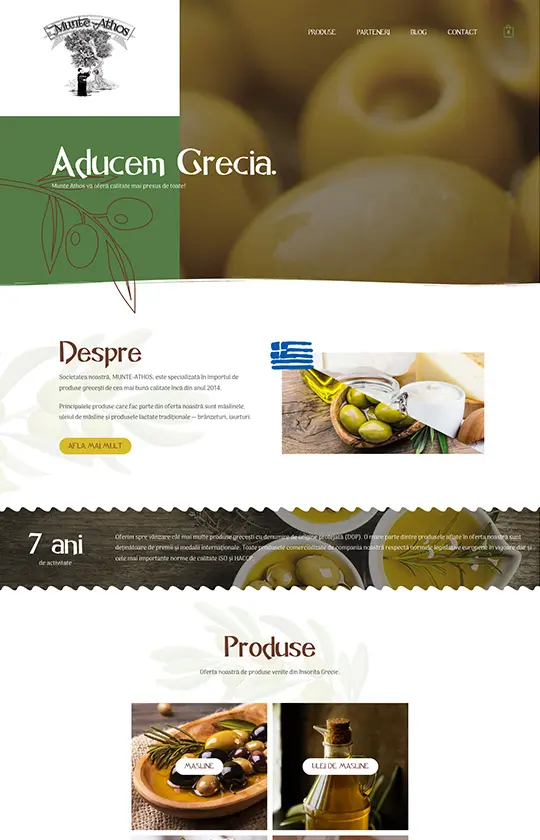 Website Design